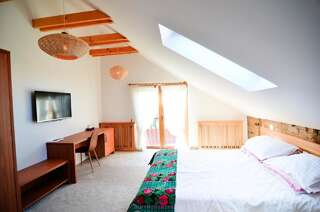 Отели типа «постель и завтрак» Agropensiunea Maria Hîrşeni Двухместный номер с 1 кроватью-3